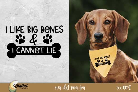 I Like Big Bone: A Designer’s Review for Embroidery